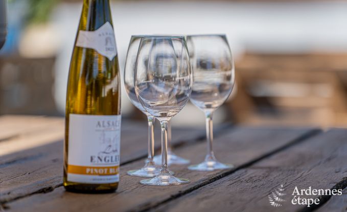 Vakantiehuis voor 9 personen in Wanlin met 4 slaapkamers en omheinde tuin