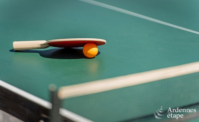 Vakantiehuis voor 9 personen in Wanlin met 4 slaapkamers en omheinde tuin