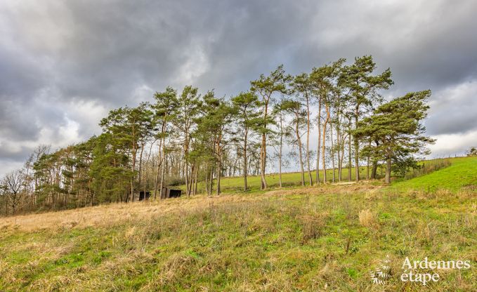 Afgelegen vakantiehuis met zwembad in Houyet, Ardennen