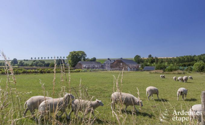 Vakantiehuis in Huy voor 17 personen in de Ardennen