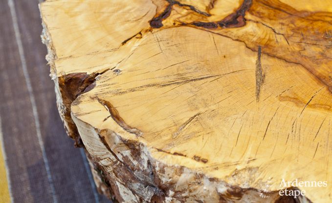 Vakantiehuis in Huy voor 17 personen in de Ardennen