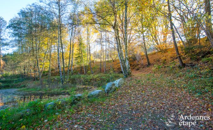 Luxe villa in Jalhay (Spa) voor 8/9 personen in de Ardennen