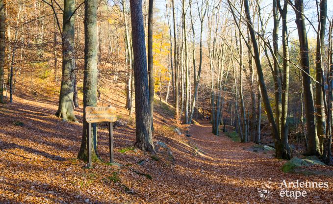 Luxe villa in Jalhay (Spa) voor 8/9 personen in de Ardennen