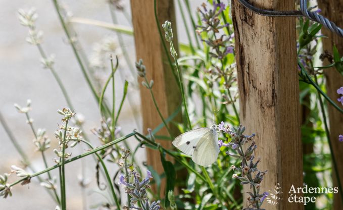 Luxe villa in Jalhay voor 12/14 personen in de Ardennen