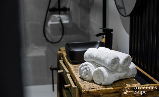 Luxe villa in Jalhay voor 12/14 personen in de Ardennen