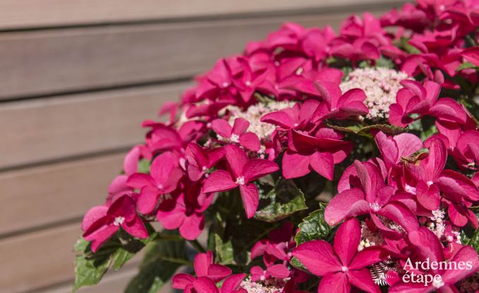 Vakantiehuis in Jalhay voor 6 personen in de Ardennen