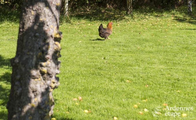 Vakantiehuis in Jalhay voor 6 personen in de Ardennen