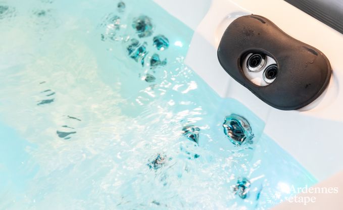 Luxe vakantiewoning in Jalhay voor 12 personen met jacuzzi, speelkamer en priv�tuin