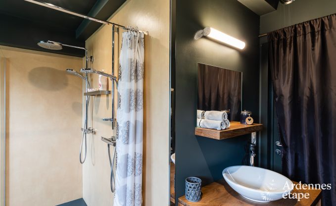Luxe vakantiewoning in Jalhay voor 12 personen met jacuzzi, speelkamer en priv�tuin