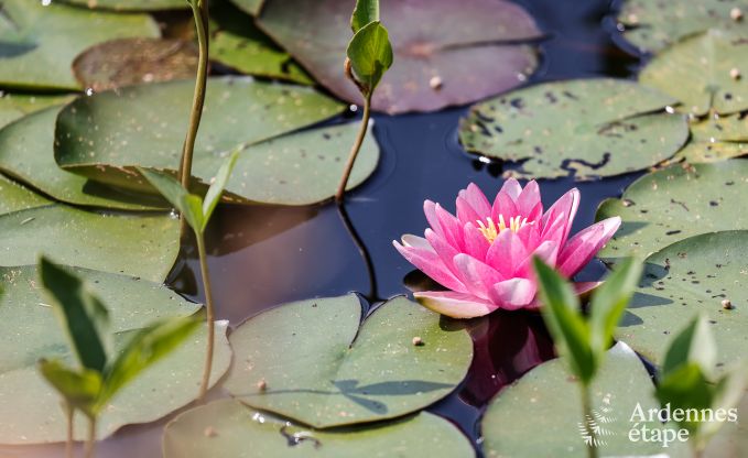 Luxe villa in Jalhay voor 12/14 personen in de Ardennen
