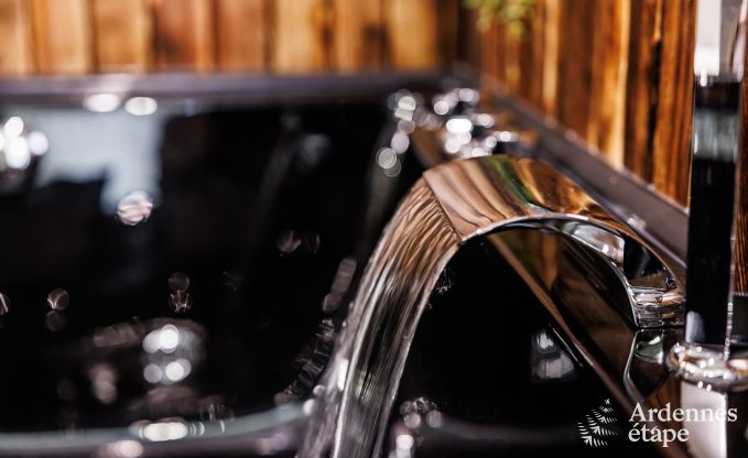 Luxe villa in Jalhay voor 12/14 personen in de Ardennen