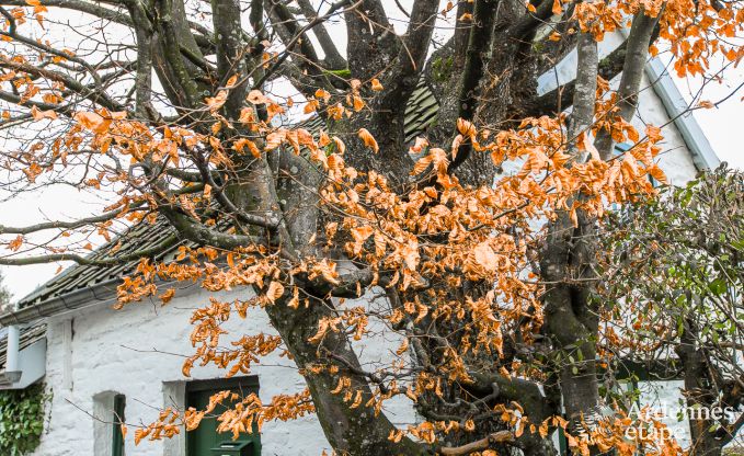 Vakantiehuis in Jalhay voor 2 personen in de Ardennen