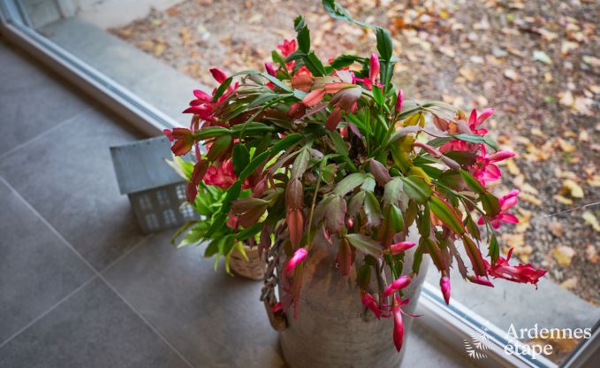 Vakantiehuis in Jalhay voor 8 personen in de Ardennen