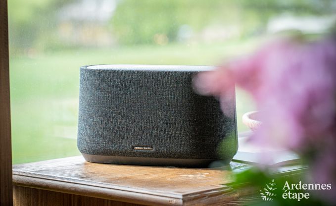 Hondvriendelijke chalet in La Roche-en-Ardenne, ideaal voor families