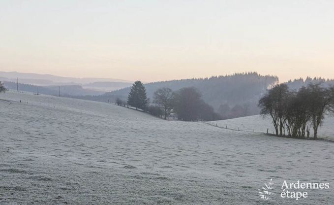 Vakantiehuis in La Roche-En-Ardenne voor 9 personen in de Ardennen