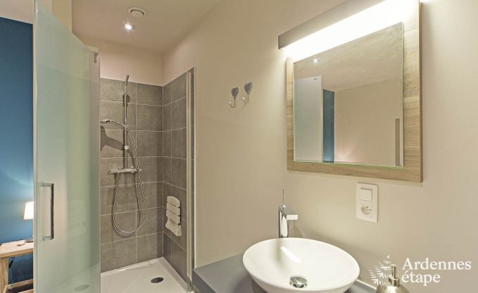 Vakantiehuis in La Roche-En-Ardenne voor 9 personen in de Ardennen