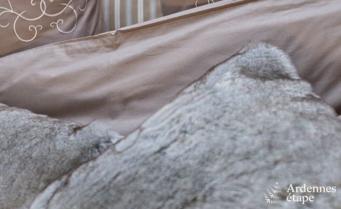 Vakantiehuis in La Roche-En-Ardenne voor 9 personen in de Ardennen