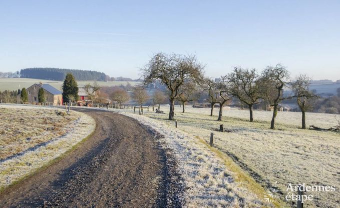 Vakantiehuis in La Roche-En-Ardenne voor 9 personen in de Ardennen