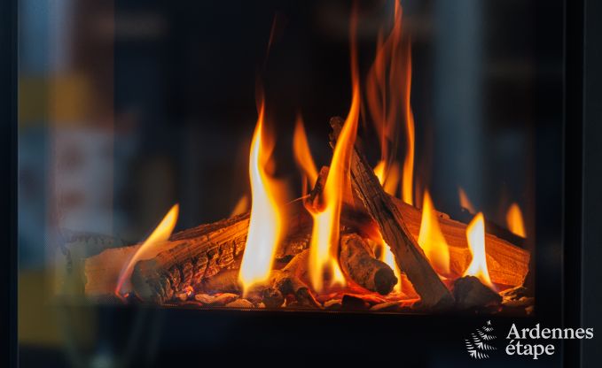 Vakantiehuis in La Roche-En-Ardenne voor 6/8 personen in de Ardennen