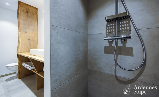 Vakantiehuis in La Roche-En-Ardenne voor 6/8 personen in de Ardennen