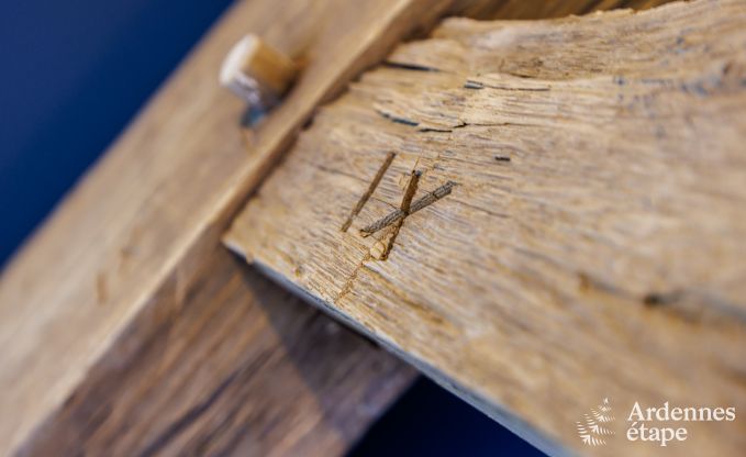 Vakantiehuis in La Roche-En-Ardenne voor 6/8 personen in de Ardennen