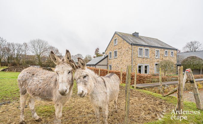 Cottage in La Roche-En-Ardenne voor 9 personen in de Ardennen