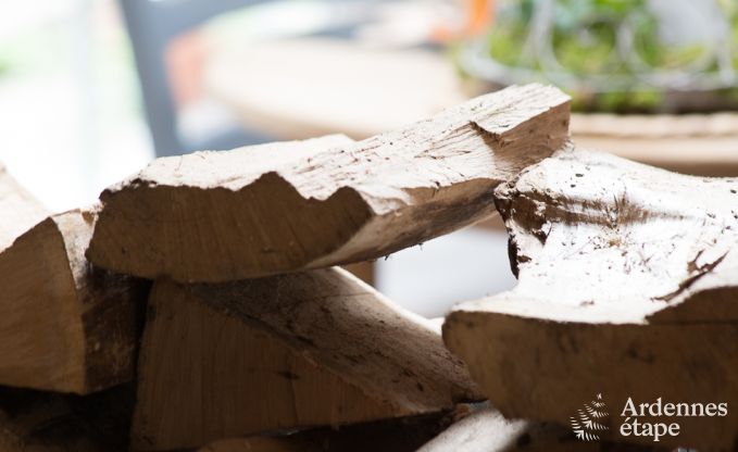 Vakantiehuis in La Roche-En-Ardenne voor 2 personen in de Ardennen