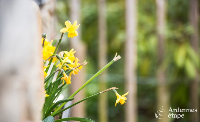 Vakantiehuis in La Roche-En-Ardenne voor 2 personen in de Ardennen
