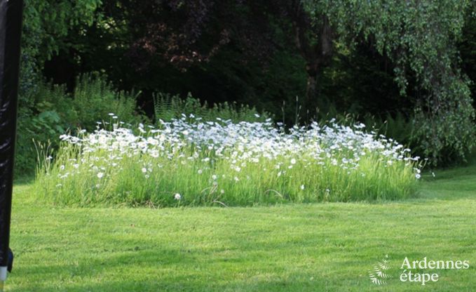 Vakantiehuis in La Roche-En-Ardenne voor 2 personen in de Ardennen