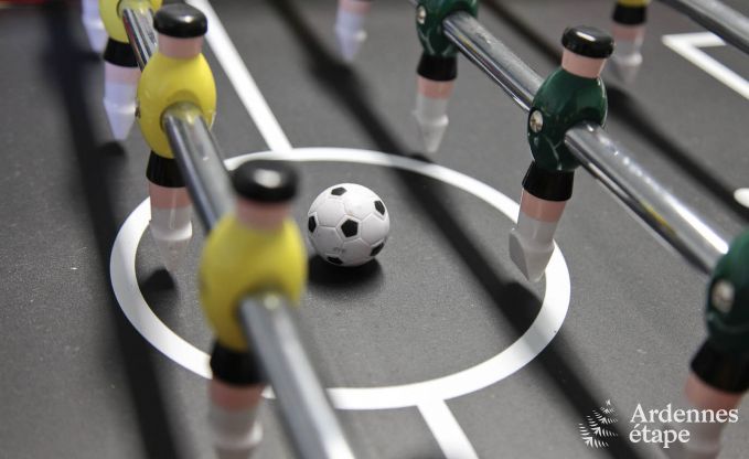 Vakantiehuis in La Roche-En-Ardenne voor 8 personen in de Ardennen