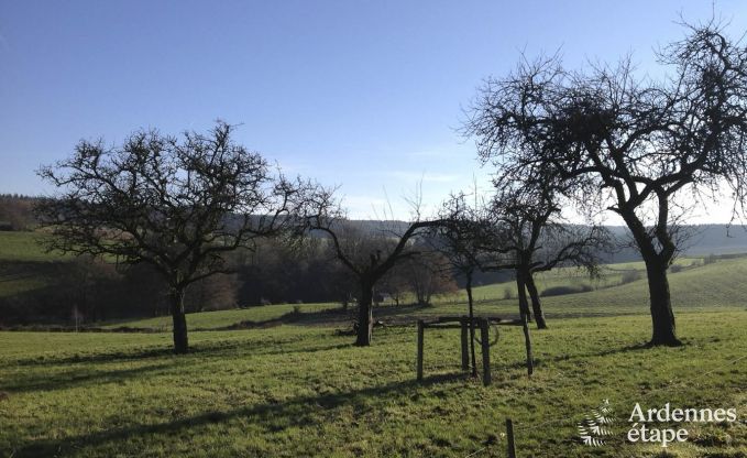 Vakantiehuis in La Roche-En-Ardenne voor 9 personen in de Ardennen
