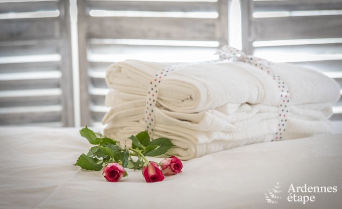 Chalet in La Roche en Ardenne voor 4 personen in de Ardennen