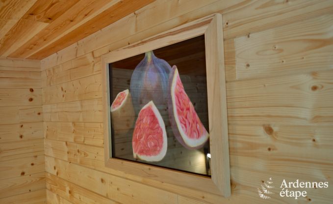 Ruime chalet aan het water voor 6 personen met houtkachel, barbecue en privterras in La Roche-en-Ardenne