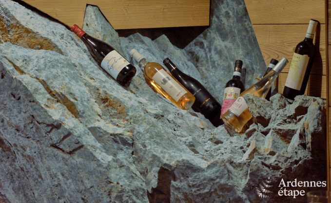 Ruime chalet aan het water voor 6 personen met houtkachel, barbecue en privterras in La Roche-en-Ardenne