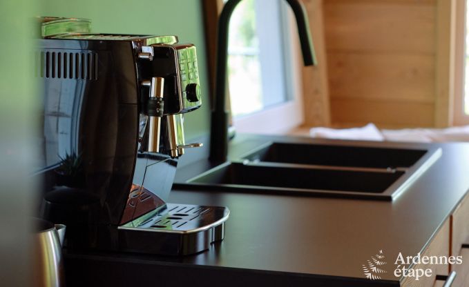 Ruime chalet aan het water voor 6 personen met houtkachel, barbecue en priv�terras in La Roche-en-Ardenne