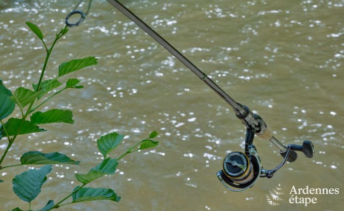 Ruime chalet aan het water voor 6 personen met houtkachel, barbecue en priv�terras in La Roche-en-Ardenne