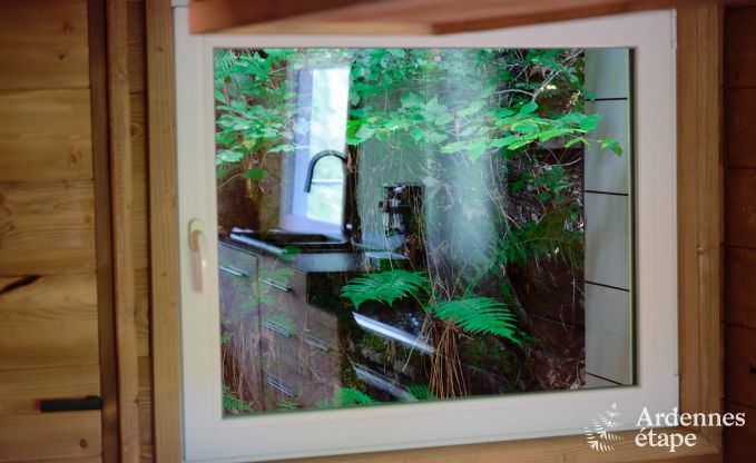 Ruime chalet aan het water voor 6 personen met houtkachel, barbecue en priv�terras in La Roche-en-Ardenne