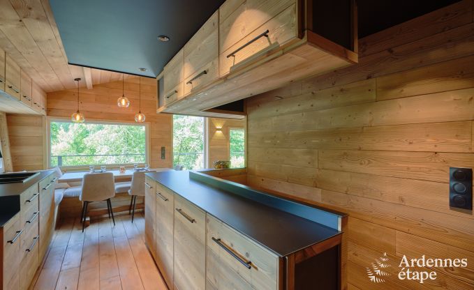Ruime chalet aan het water voor 6 personen met houtkachel, barbecue en priv�terras in La Roche-en-Ardenne