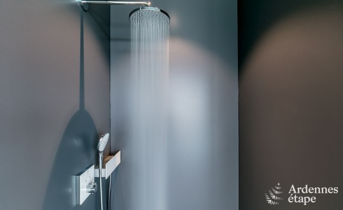 Luxe villa in La Roche en Ardenne voor 14 personen in de Ardennen