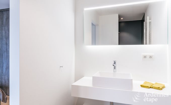 Luxe villa in La Roche en Ardenne voor 14 personen in de Ardennen