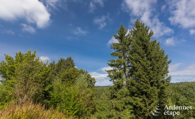 Vakantiehuis in La Roche-en-Ardenne voor 8 personen in de Ardennen