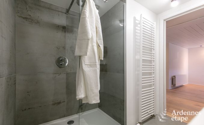 Vakantiehuis in La Roche-en-Ardenne voor 6/8 personen in de Ardennen