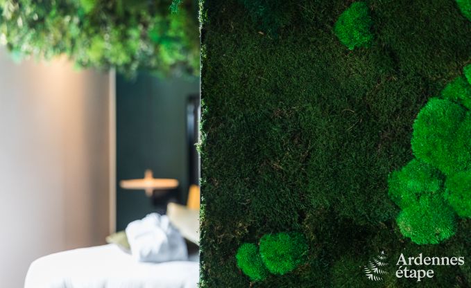 Vakantiehuis in La Roche-en-Ardenne voor 2 personen in de Ardennen