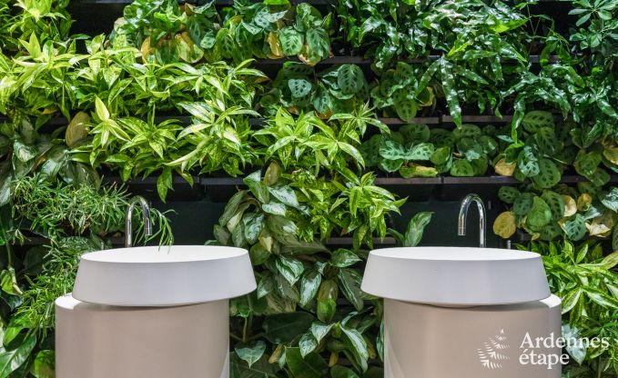 Vakantiehuis in La Roche-en-Ardenne voor 2 personen in de Ardennen