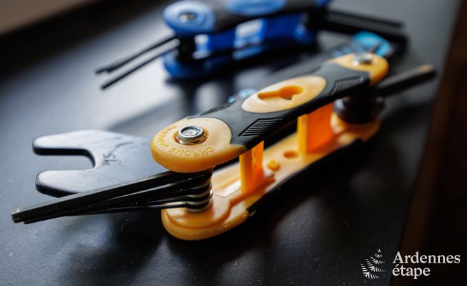 Vakantiehuis in La Roche en Ardenne voor 15/16 personen in de Ardennen