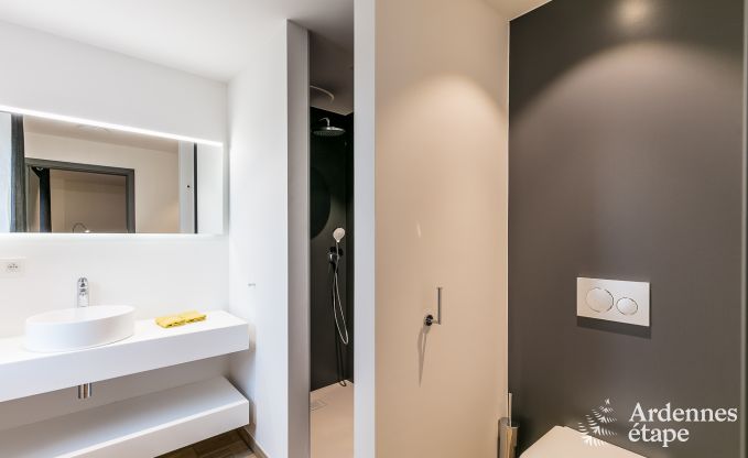 Luxe villa in La Roche en Ardenne voor 14 personen in de Ardennen