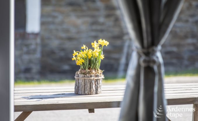 Vakantiehuis in La Roche-en-Ardenne voor 4/6 personen in de Ardennen