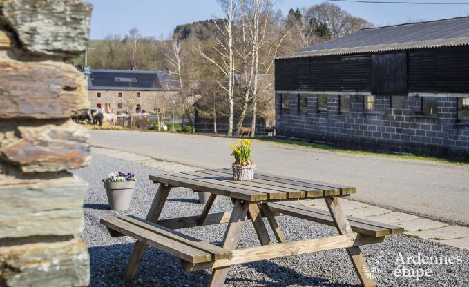 Vakantiehuis in La Roche-en-Ardenne voor 4/6 personen in de Ardennen