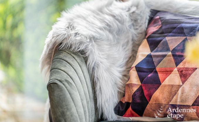 Vakantiehuis in La Roche-en-Ardenne voor 2 personen en ��n baby in de Ardennen