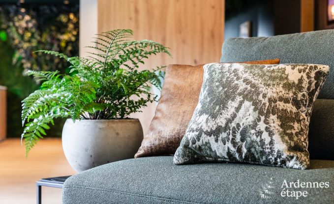 Vakantiehuis in La Roche-en-Ardenne voor 2 personen in de Ardennen